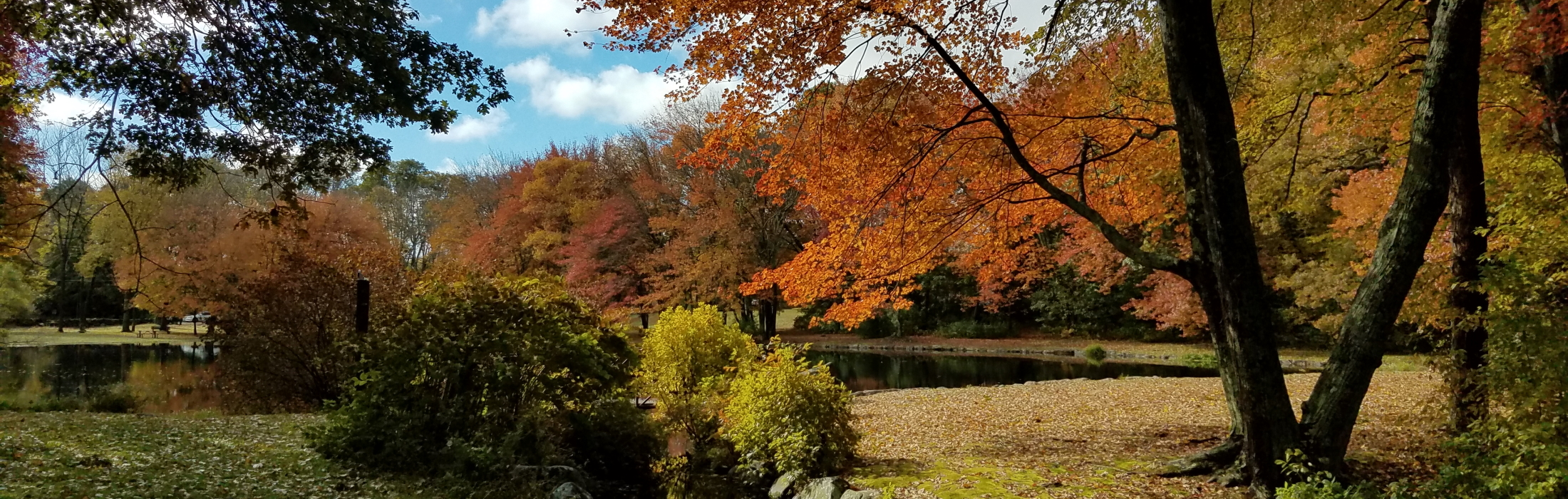 Waterford Fall Duck Pond