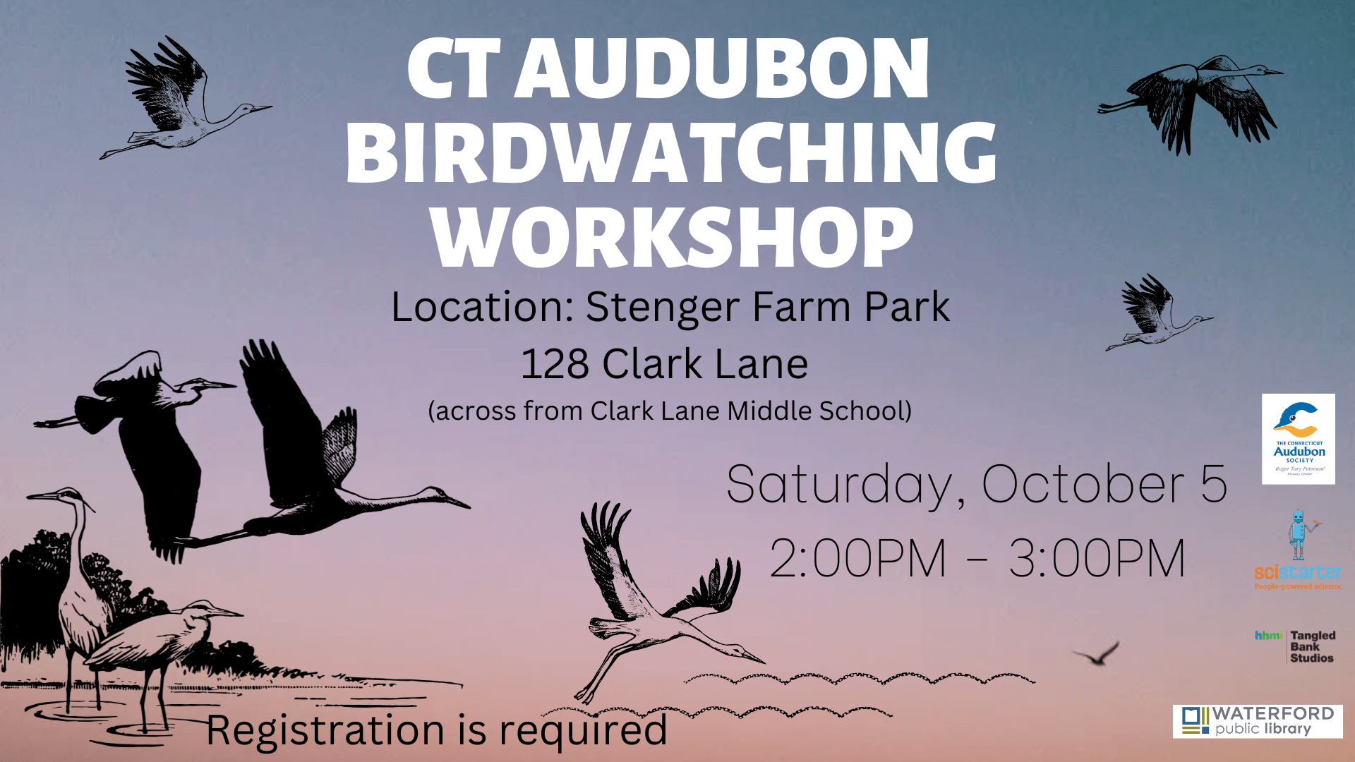 CT Audubon Birdwatching Workshop