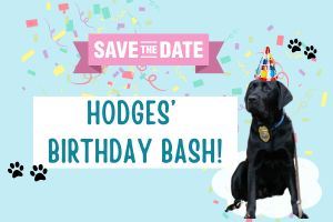 Birthday Party for Hodges 2025 website image (300 x 200 px)