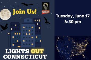 Lights out CT! LibCal